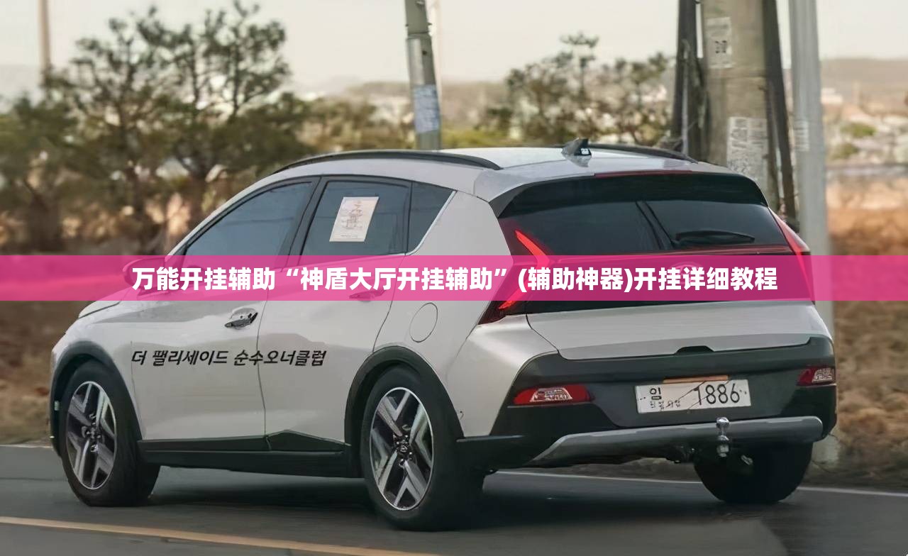 万能开挂辅助“神盾大厅开挂辅助”(辅助神器)开挂详细教程