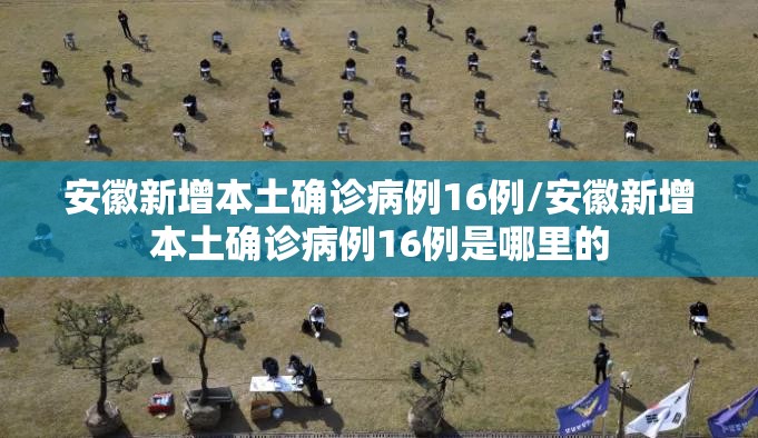 安徽新增本土确诊病例16例/安徽新增本土确诊病例16例是哪里的 安徽新增本土确诊病例16例/安徽新增本土确诊病例16例是哪里的