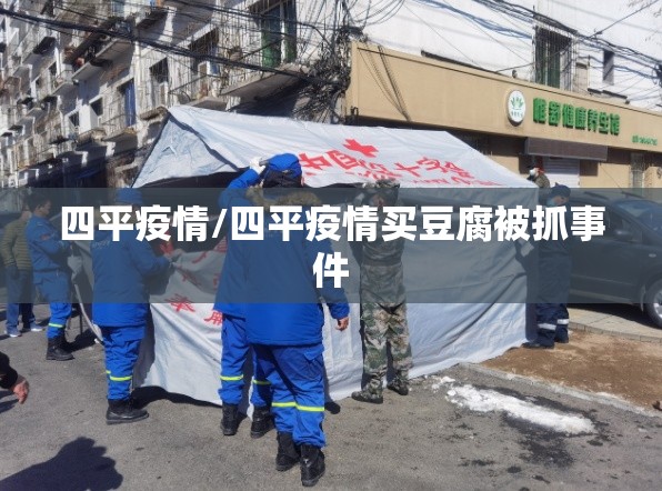 四平疫情/四平疫情买豆腐被抓事件 四平疫情/四平疫情买豆腐被抓事件