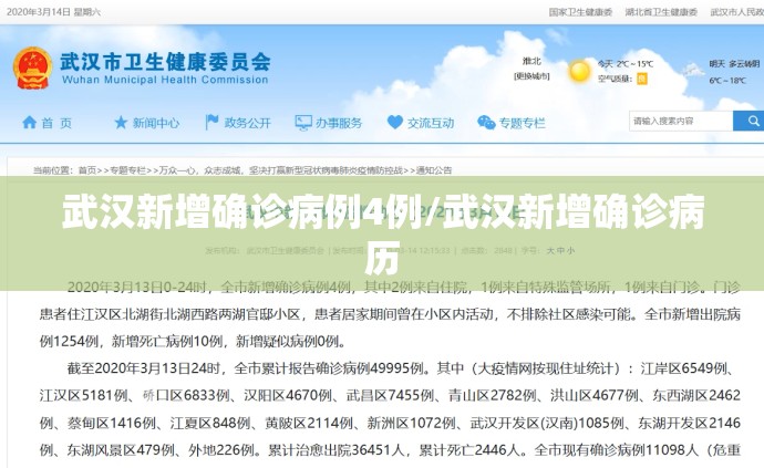 武汉新增确诊病例4例/武汉新增确诊病历