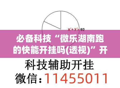 必备科技“微乐湖南跑的快能开挂吗(透视)”开挂辅助脚本+详细开挂安装教程
