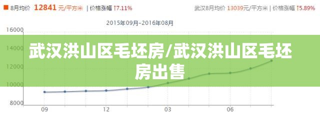 武汉洪山区毛坯房/武汉洪山区毛坯房出售