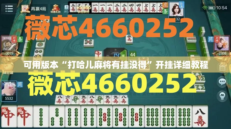 可用版本“打哈儿麻将有挂没得”开挂详细教程