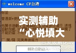 实测辅助“心悦填大坑辅助”详细外挂透视辅助软件教程
