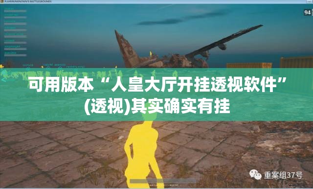可用版本“人皇大厅开挂透视软件	”(透视)其实确实有挂