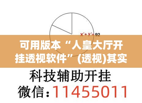 可用版本“人皇大厅开挂透视软件”(透视)其实确实有挂