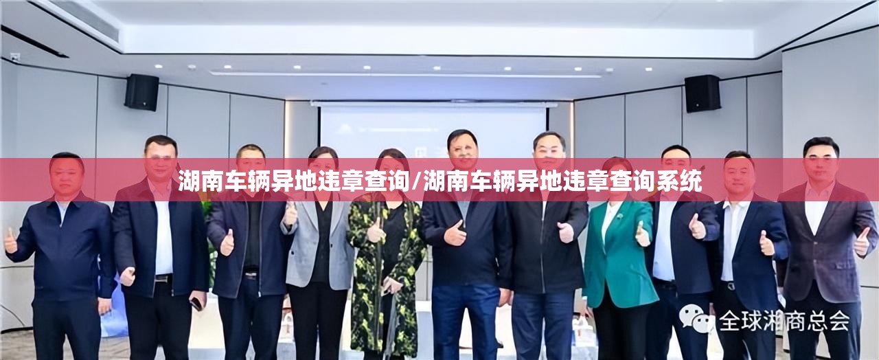 湖南车辆异地违章查询/湖南车辆异地违章查询系统
