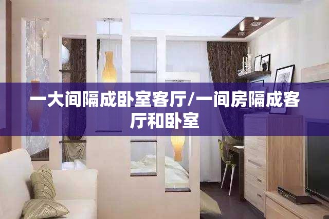一大间隔成卧室客厅/一间房隔成客厅和卧室 一大间隔成卧室客厅/一间房隔成客厅和卧室