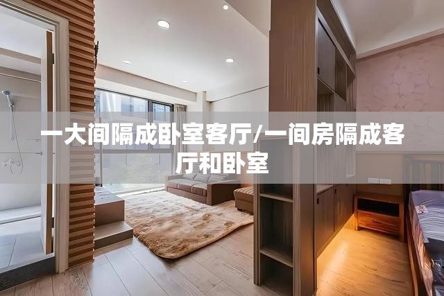 一大间隔成卧室客厅/一间房隔成客厅和卧室 一大间隔成卧室客厅/一间房隔成客厅和卧室