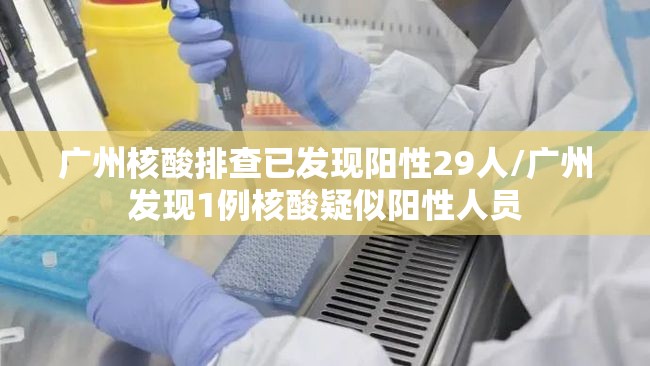 广州核酸排查已发现阳性29人/广州发现1例核酸疑似阳性人员 广州核酸排查已发现阳性29人/广州发现1例核酸疑似阳性人员
