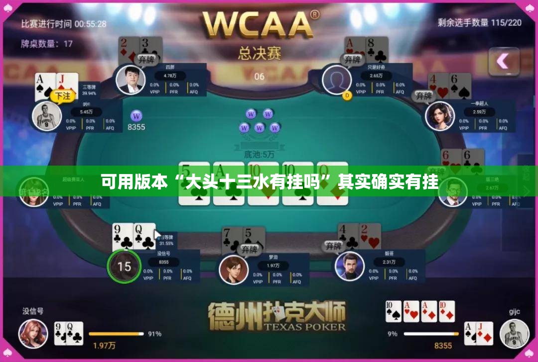可用版本“大头十三水有挂吗”其实确实有挂