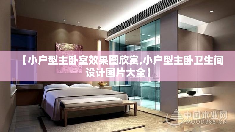【小户型主卧室效果图欣赏,小户型主卧卫生间设计图片大全】