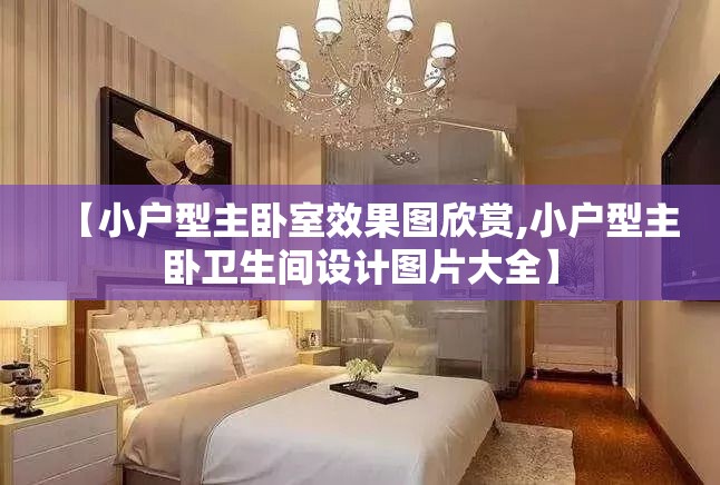 【小户型主卧室效果图欣赏,小户型主卧卫生间设计图片大全】