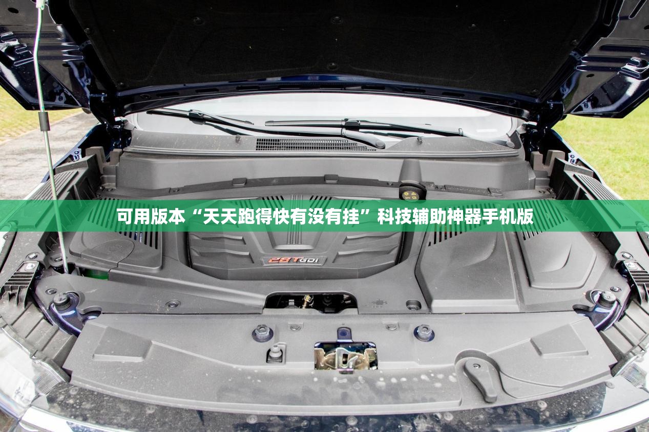 可用版本“天天跑得快有没有挂”科技辅助神器手机版