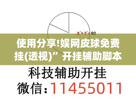 使用分享!娱网皮球免费挂(透视)”开挂辅助脚本+详细开挂安装教程