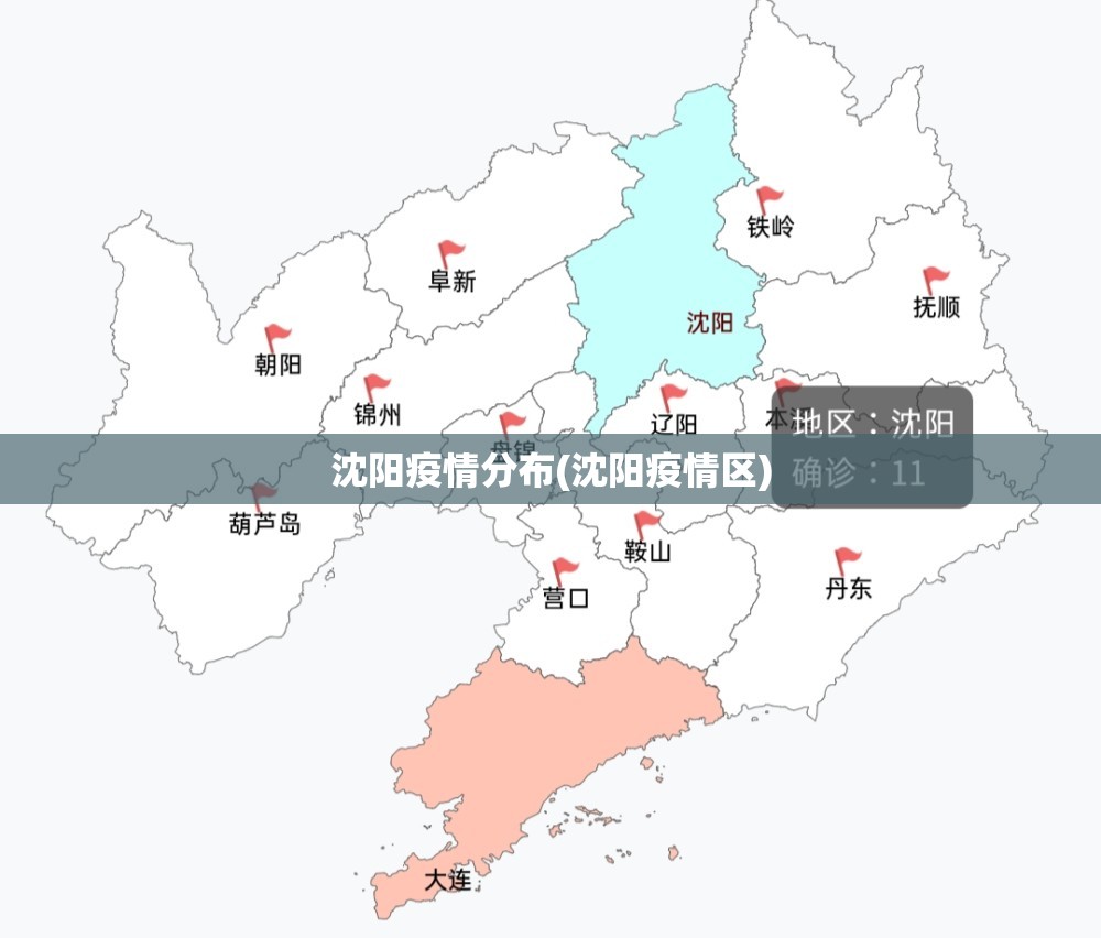 沈阳疫情分布(沈阳疫情区) 沈阳疫情分布(沈阳疫情区)