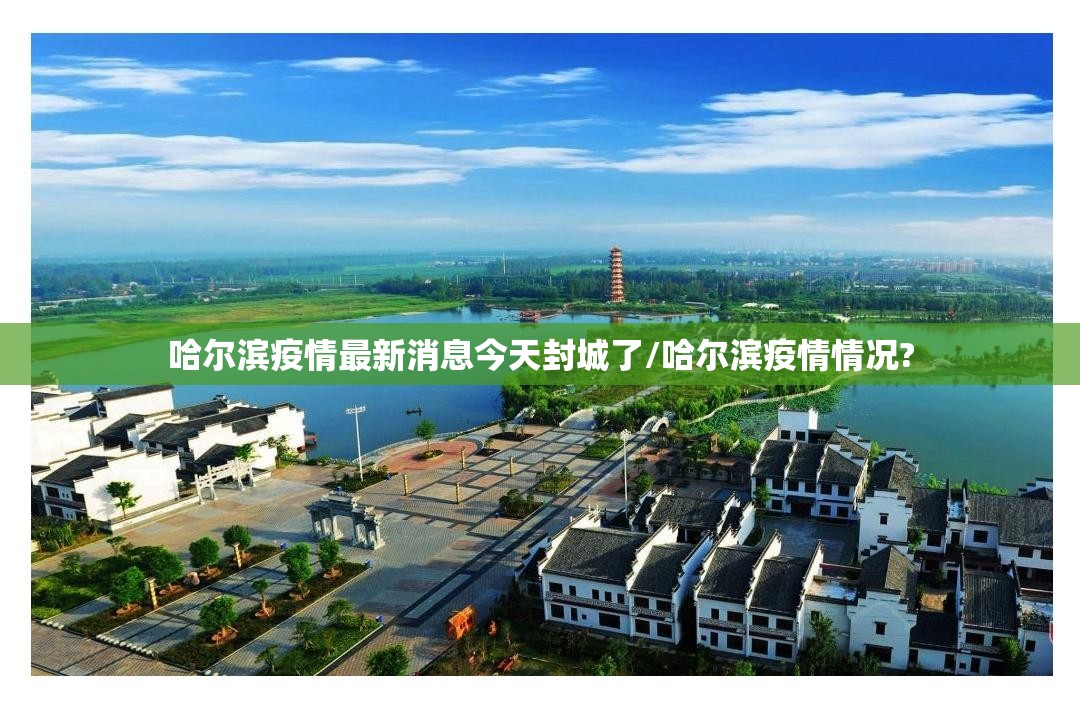 哈尔滨疫情最新消息今天封城了/哈尔滨疫情情况? 哈尔滨疫情最新消息今天封城了/哈尔滨疫情情况?