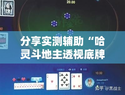 分享实测辅助“哈灵斗地主透视底牌”科技辅助神器手机版
