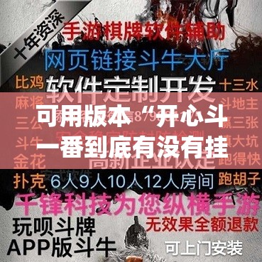 可用版本“开心斗一番到底有没有挂”(透视挂)辅助下载教程