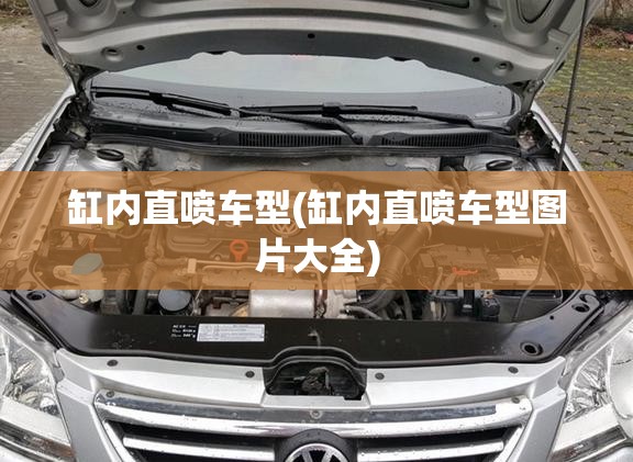 缸内直喷车型(缸内直喷车型图片大全) 缸内直喷车型(缸内直喷车型图片大全)