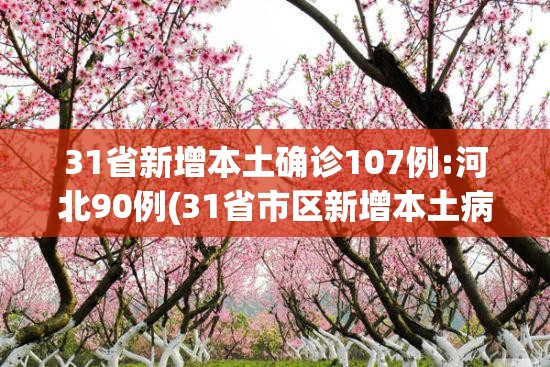 31省新增本土确诊107例:河北90例(31省市区新增本土病例107例,其中河北新增90例) 31省新增本土确诊107例:河北90例(31省市区新增本土病例107例,其中河北新增90例)