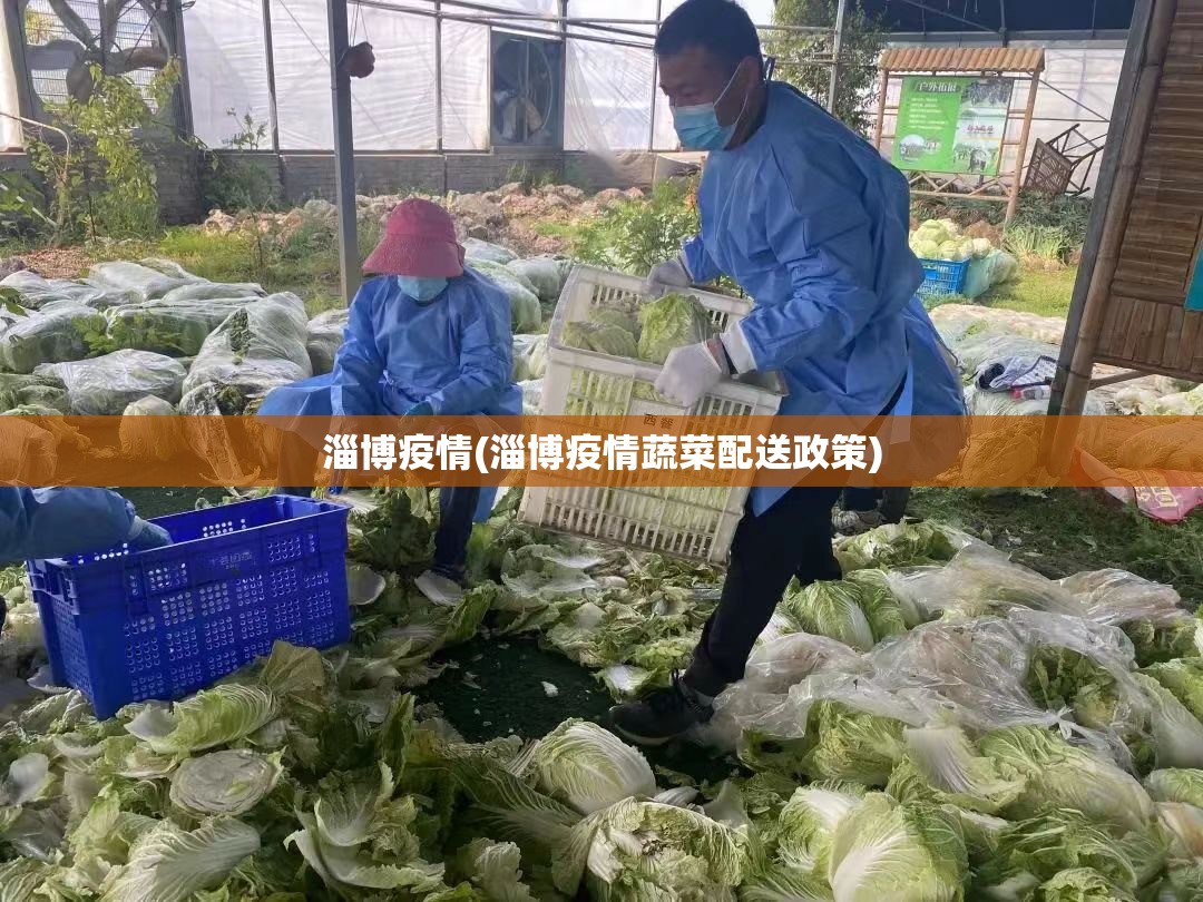 淄博疫情(淄博疫情蔬菜配送政策) 淄博疫情(淄博疫情蔬菜配送政策)