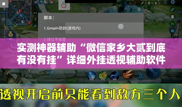 实测神器辅助“微信家乡大贰到底有没有挂	”详细外挂透视辅助软件教程