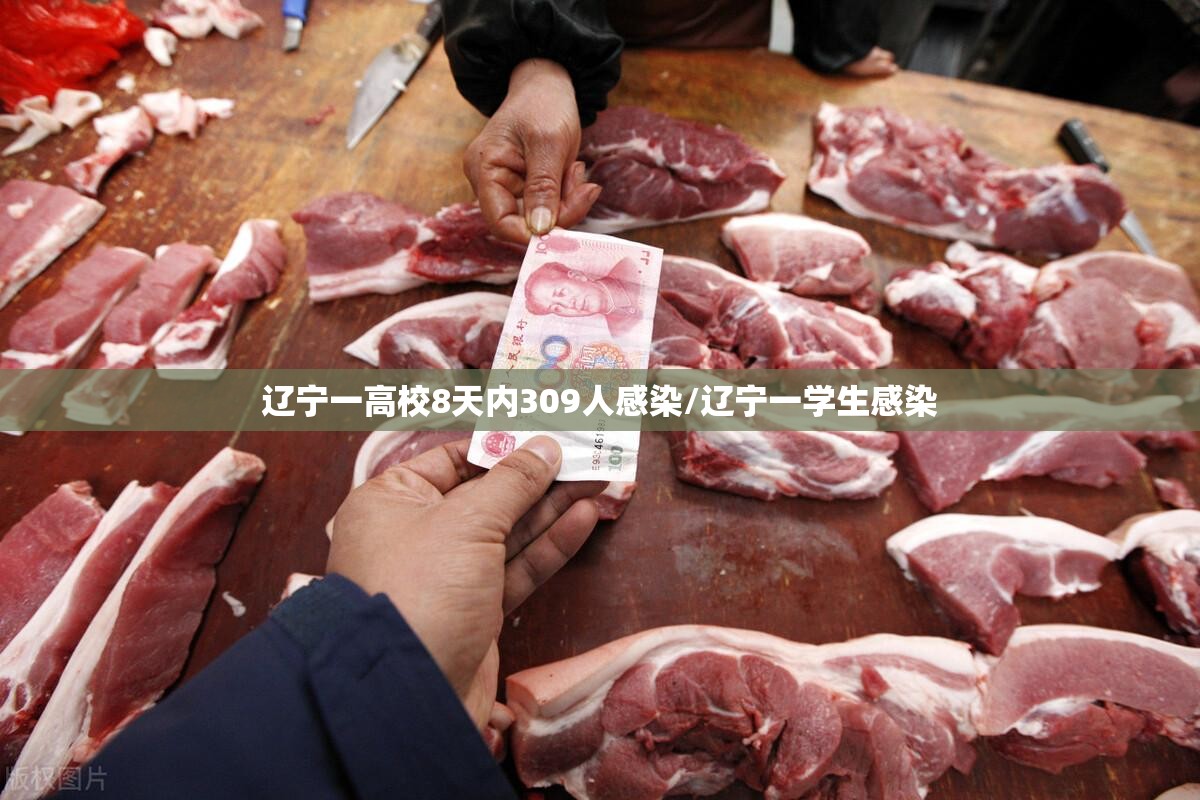 辽宁一高校8天内309人感染/辽宁一学生感染 辽宁一高校8天内309人感染/辽宁一学生感染
