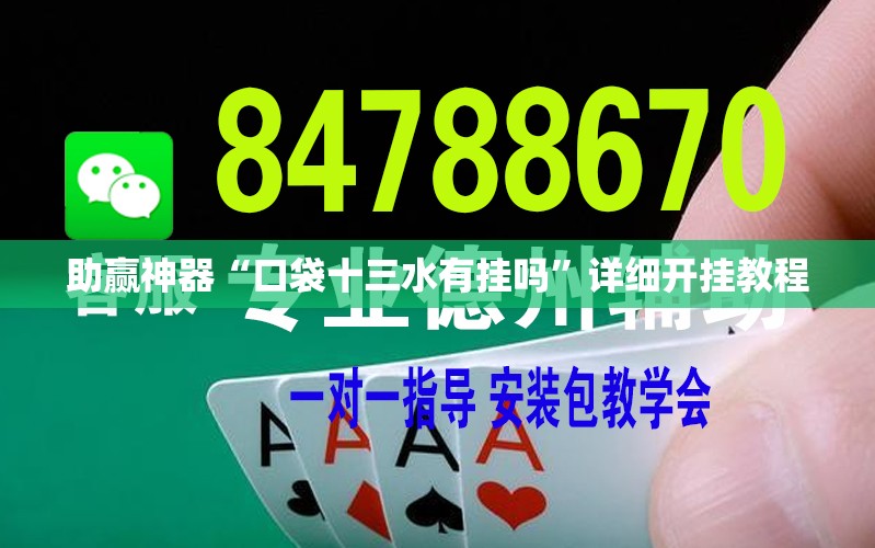 助赢神器“口袋十三水有挂吗”详细开挂教程