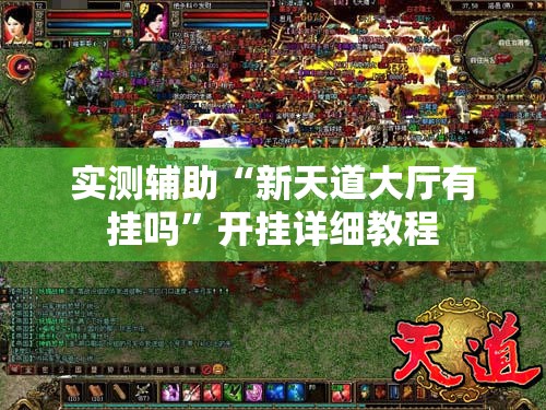 实测辅助“新天道大厅有挂吗”开挂详细教程
