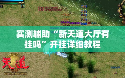 实测辅助“新天道大厅有挂吗”开挂详细教程