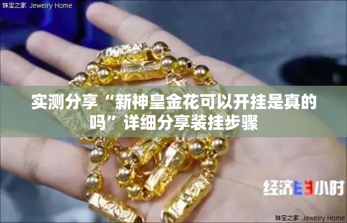 实测分享“新神皇金花可以开挂是真的吗”详细分享装挂步骤