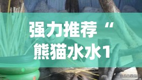 强力推荐“熊猫水水13张有挂嘛”(透视)其实确实有挂