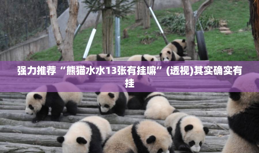 强力推荐“熊猫水水13张有挂嘛”(透视)其实确实有挂