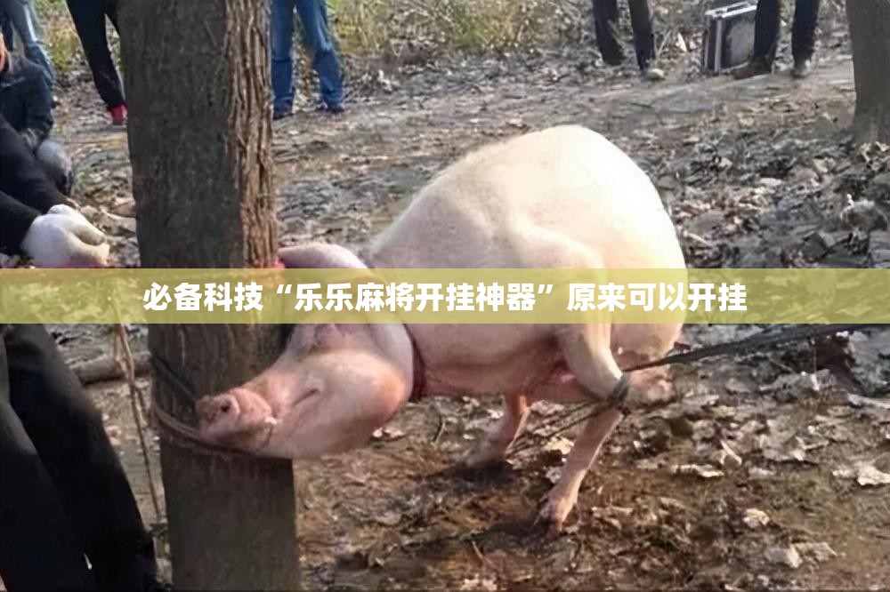 必备科技“乐乐麻将开挂神器”原来可以开挂