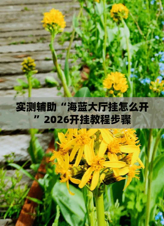 实测辅助“海蓝大厅挂怎么开”2026开挂教程步骤
