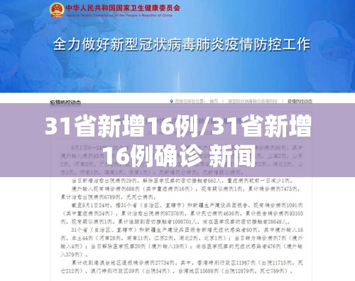 31省新增16例/31省新增16例确诊 新闻