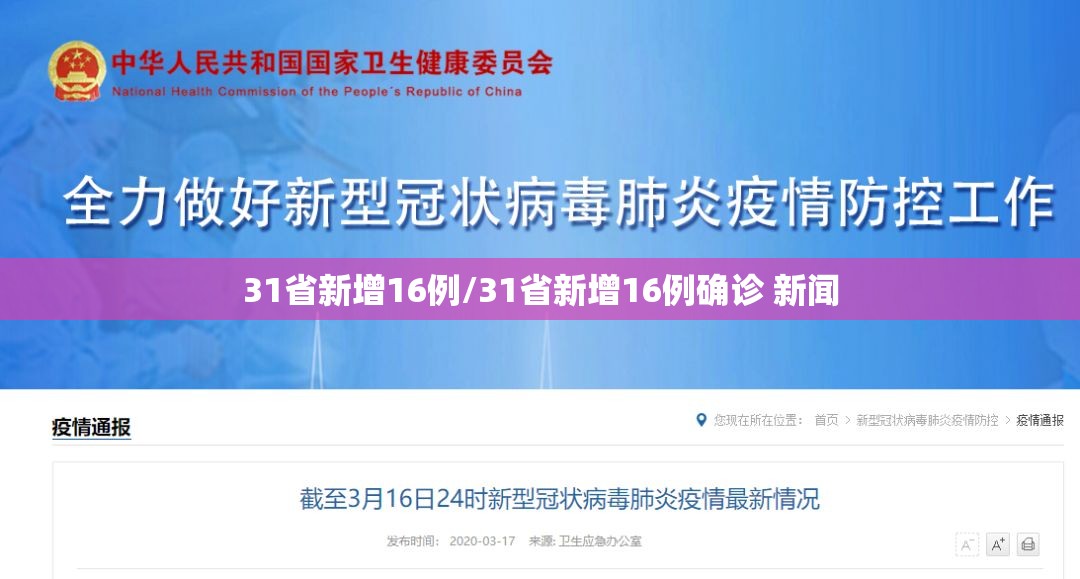 31省新增16例/31省新增16例确诊 新闻