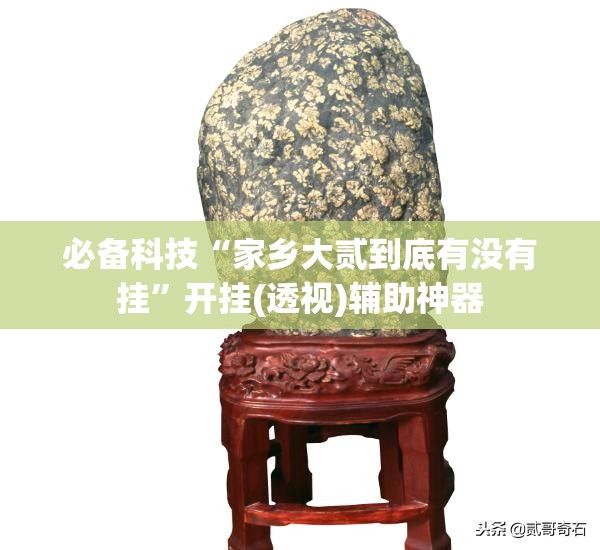 必备科技“家乡大贰到底有没有挂”开挂(透视)辅助神器