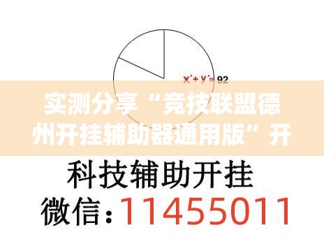 实测分享“竞技联盟德州开挂辅助器通用版”开挂(透视)辅助教程