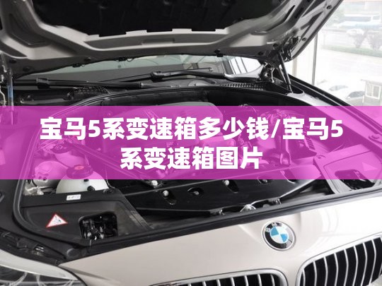 宝马5系变速箱多少钱/宝马5系变速箱图片 宝马5系变速箱多少钱/宝马5系变速箱图片