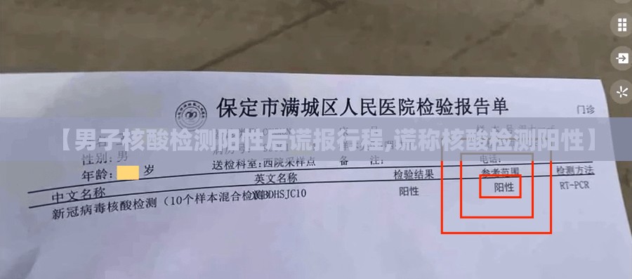 【男子核酸检测阳性后谎报行程,谎称核酸检测阳性】