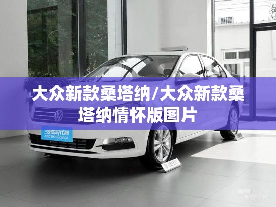 大众新款桑塔纳/大众新款桑塔纳情怀版图片