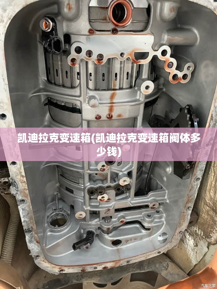 凯迪拉克变速箱(凯迪拉克变速箱阀体多少钱) 凯迪拉克变速箱(凯迪拉克变速箱阀体多少钱)