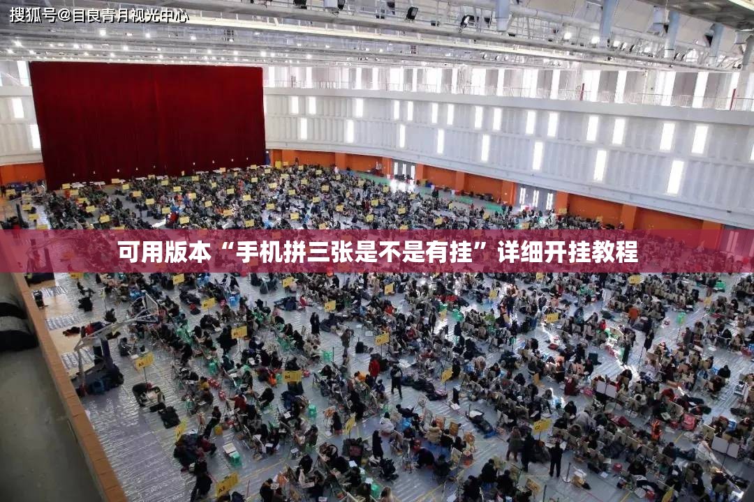可用版本“手机拼三张是不是有挂”详细开挂教程