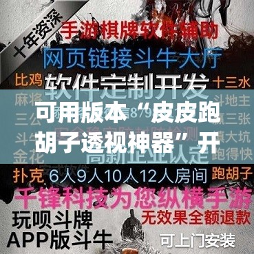 可用版本“皮皮跑胡子透视神器”开挂(透视)辅助神器