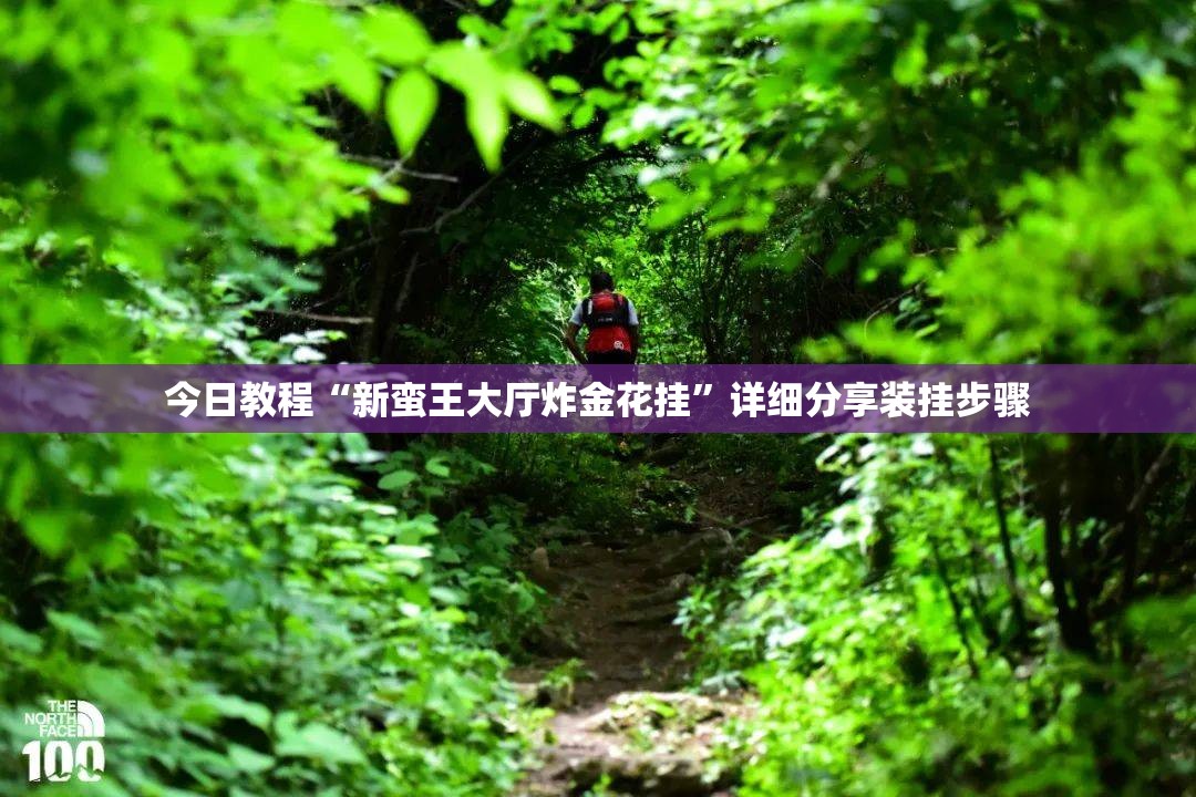 今日教程“新蛮王大厅炸金花挂”详细分享装挂步骤