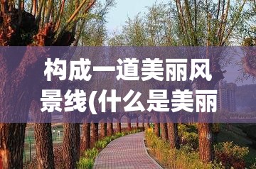 构成一道美丽风景线(什么是美丽的一道风景线)