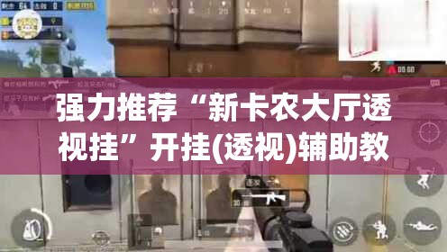 强力推荐“新卡农大厅透视挂”开挂(透视)辅助教程