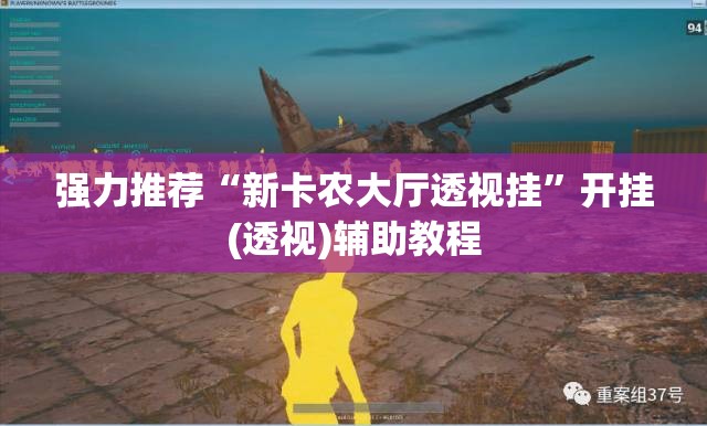 强力推荐“新卡农大厅透视挂	”开挂(透视)辅助教程